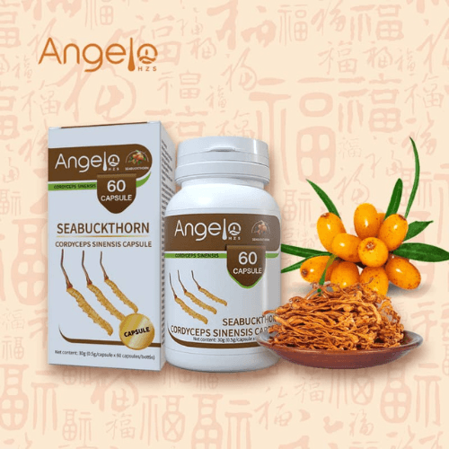 ANGELO HZS Argousier Cordyceps Sinensis 60 Capsules 30g
